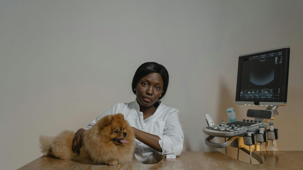 a woman sitting at a desk with a dog